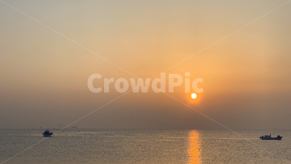 일출,해돋이,sunrise,태양,sun,새벽,dawn,수평선,horizontalline,sealine,바다,잔잔한바다,바닷가,sea,하늘,sky,갈매기,seagull,mew,gull,seamew,seagull,배,고기잡이배,ship,boat,만선,고기잡이,fullsail,자연,풍경,nature,landscape,outdoors,옥외,sunlight,햇빛