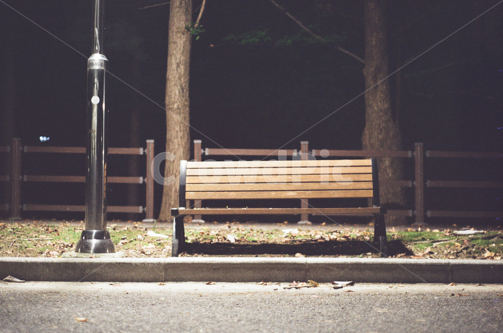 벤치,밤,야간촬영,bench,필름사진,필름카메라