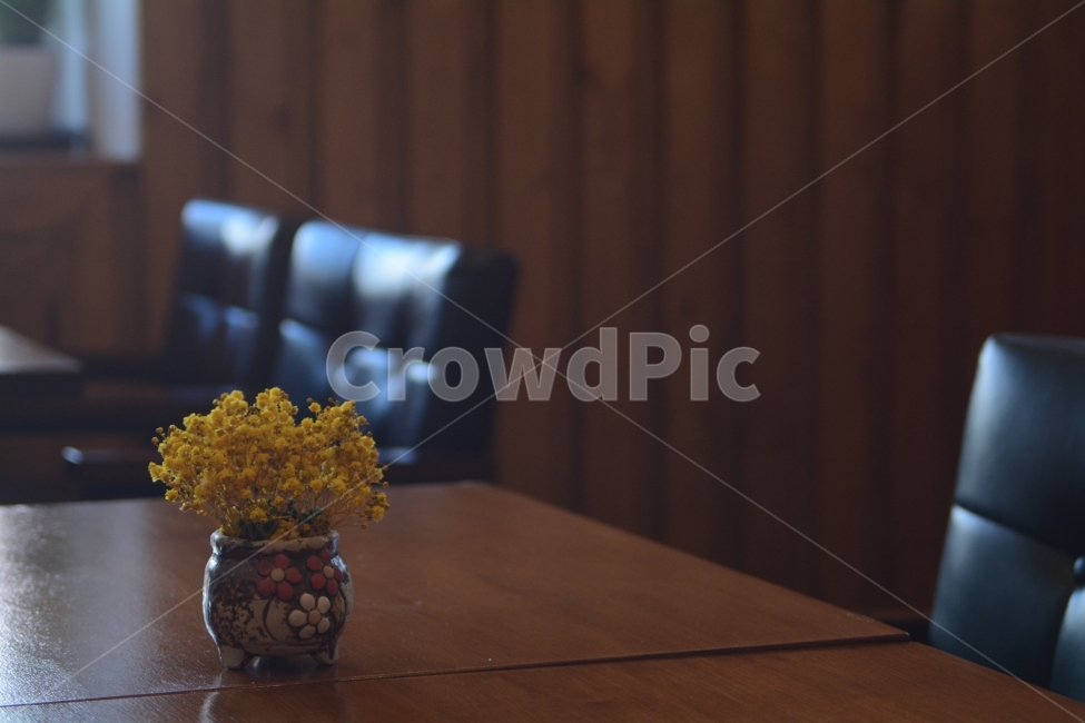 꽃병,카페,감성,테이블,꽃,꽃,flower,실내용화초,화분,화초,house plant,인테리어,실내디자인,interior design