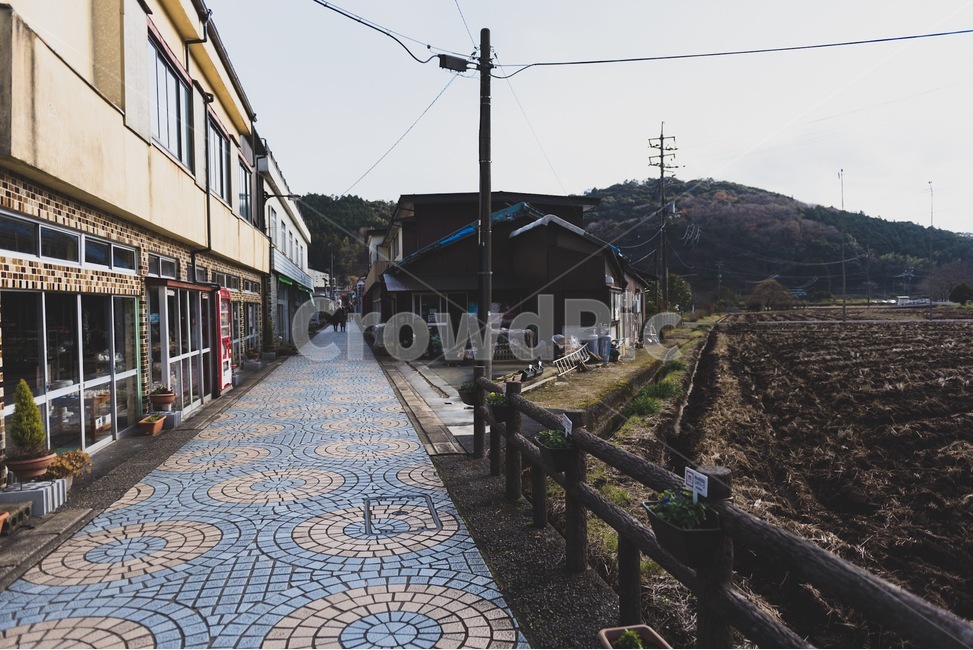 path,walkway,통로,보도,일본,시골,논