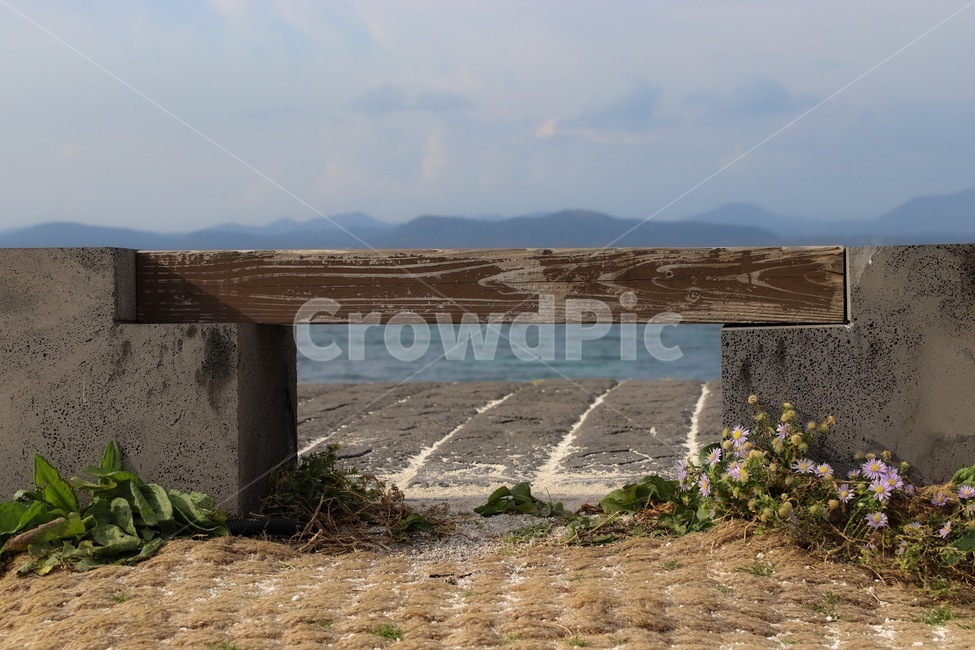 bench,plant,바다,벤치,식물,식물,자연,plants,nature