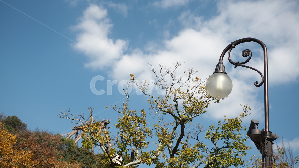 하늘,구름,가로등,나무,sky,cloud,tree,lamp,자연,풍경,nature,landscape