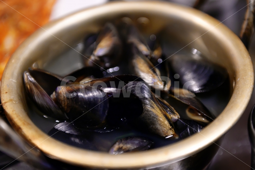 음식,푸드,홍합탕,홍합,안주,요리,mussel,food,국물요리,국물,조개,음식,식재료,요리,food,cook,meal,dishes,food reserves,수산물,해산물,fishery products,seafood