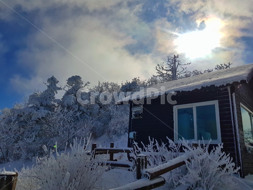 겨울,눈,나무,자연,산장,snow,winter,겨울왕국