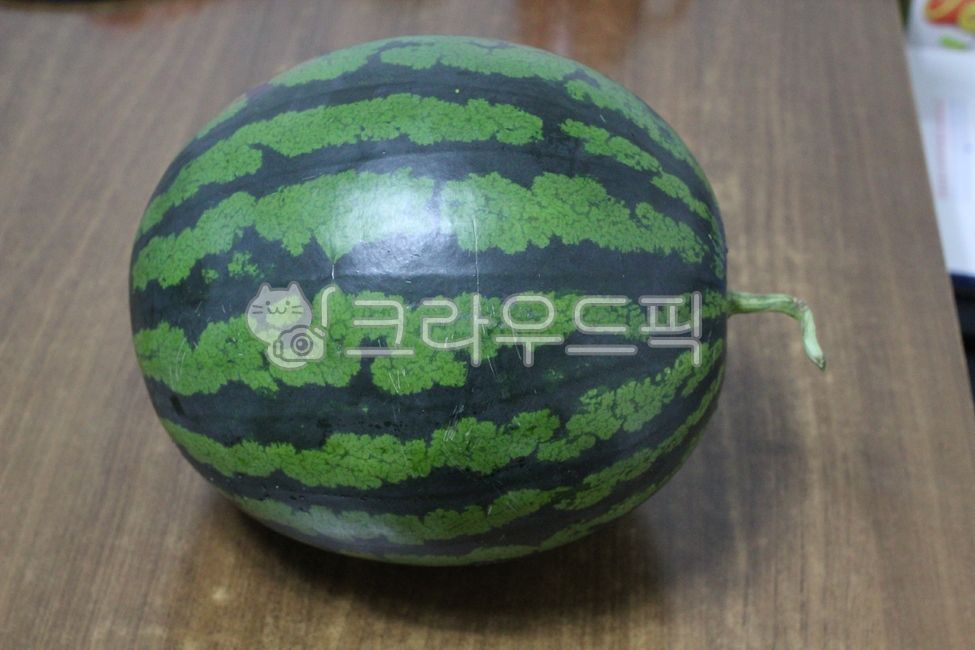 수박,초록색,동그라미,식탁,과일,식물,melon,fruit