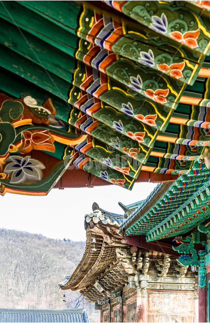 단청,문양,무늬,사찰,선,문화유산,한국전통,한국문화,korean traditional,korean culture,건축물,건물외관,exterior,building,structure,architecture,construction