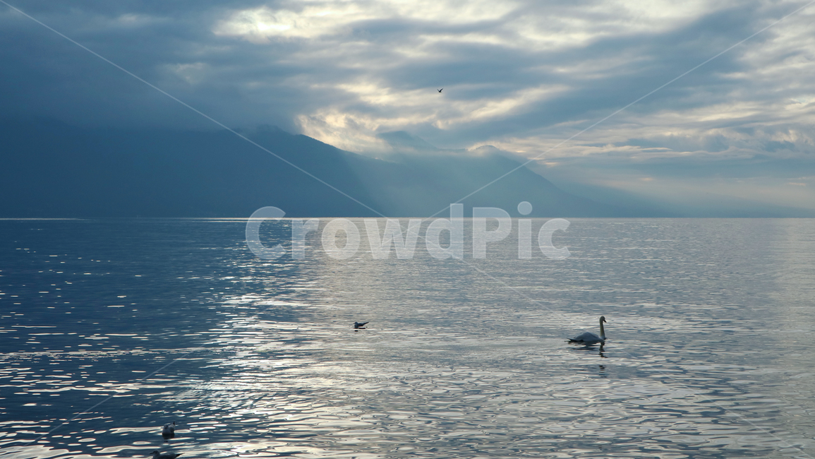호수,lake,outdoors,옥외,nature,자연,물,water,풍경,하늘,sky,자연,풍경,nature,landscape,bird,새,animal,동물