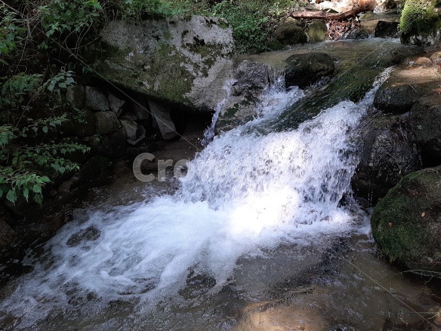 계곡,물,nature,자연,stream,개울,자연,풍경,nature,landscape,water,river,강,outdoors,옥외,waterfall,폭포