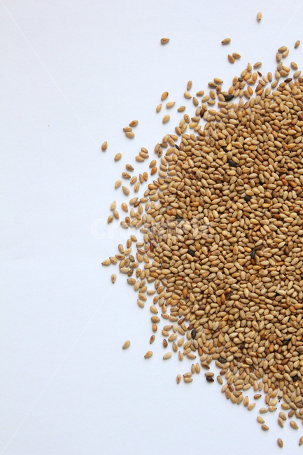 brown,closeup,dry,dummy,food,gold,grain,macro,meal,natural,nature,organic,plant,seed,seeds,sesame,sesameseed,sesameseeds,top,topangle,topview,yellow,깨,참깨,곡식,곡류,음식,음식재료,식재료,식물,씨앗,씨,갈색,브라운,말린,말리는,건조,자연,클로즈업,탑앵글,탑뷰,깨소금,농작물,농촌,농사,흰배경,음식,식재료,요리,food,cook,meal,dishes,food reserves,곡류,곡식,cereals