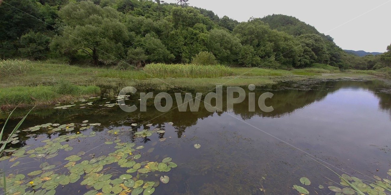 천내습지,생태습지,금강,생태보고,습지탐방,자연,자연,풍경,nature,landscape,land,땅,outdoors,옥외,water,물,pond,못