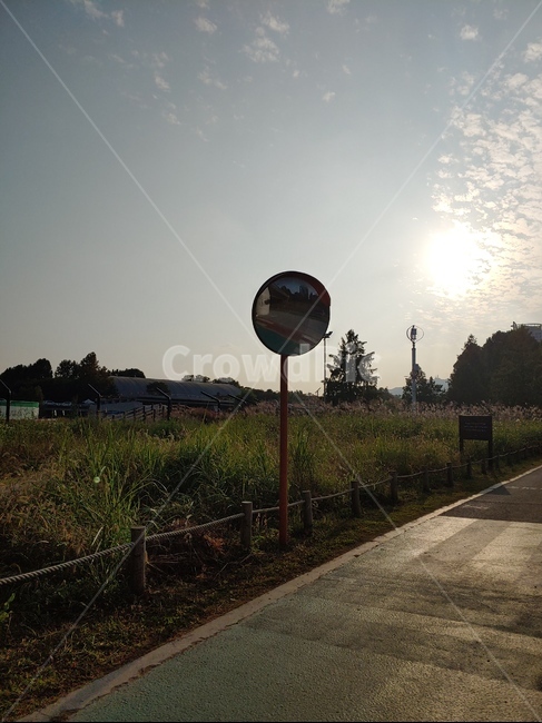 저녁,태양,길,노을,아스팔트,asphalt,식물,자연,plants,nature