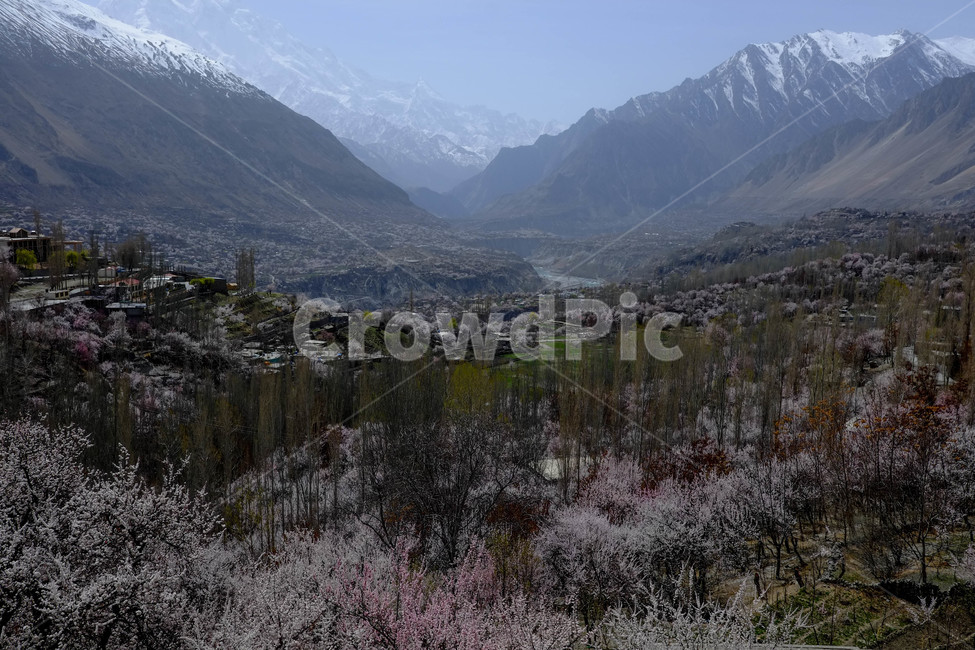 파키스탄,히말라야,훈자,자연,풍경,설산,hunza,계곡,협곡,산,파키스탄훈자,훈자마을,봄,꽃,절벽,자연,풍경,nature,landscape,해외,외국,세계,foreign,oversea,world,세계자연풍경,해외자연풍경,외국자연풍경,world nature landscape,outdoors,옥외,mountain,mountain range,산맥