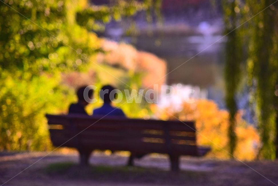 가을,가을배경,가을풍경,벤치,나무의자,공원,의자,고독,외로움,소외,쓸쓸함,시즌,호숫가,계절,사람,대화,응시,바라봄,빈자리,생각,사색,고민,감정,늦은오후,아웃포커스,가을분위기,lakeside,반영,칼라풀,컬러풀,힐링,휴식,쉼터,여유,낭만,park,bench,autumn,fall,background,silhouette,실루엣,season,colorful,여자,woman,여인,중년여자들,두명,2명,인간,person,sitting,좌석,plant,식물,parkbench,공원벤치,healing,친구,우정,사랑