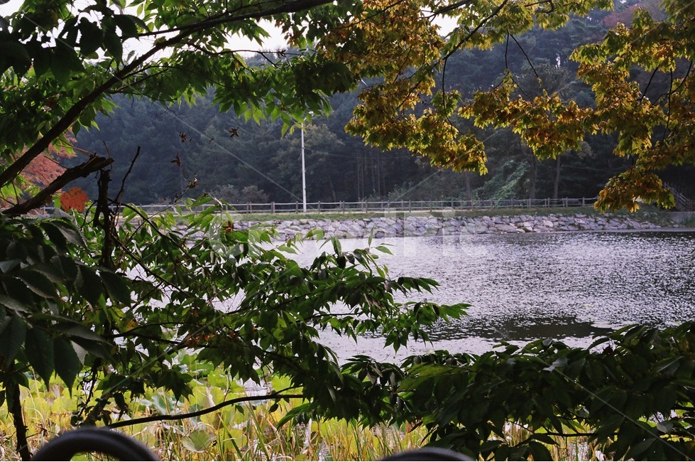상당산성,청주,필름사진,필름카메라,강