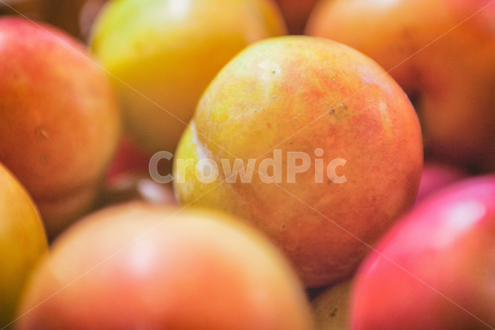 과일,식물,자두,먹거리,간식,fluit,plum,plant,nature,자연,가을,계절,fall,autumn,seasons,가을과일,제철과일,음식,식재료,요리,food,cook,meal,dishes,food reserves,과일,열매,fruit
