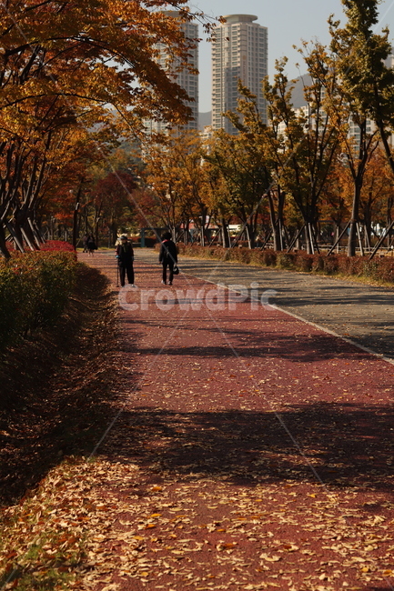 가을,낙엽,낙엽길,산책,산책로,공원,가을,계절,fall,autumn,season,사람들,대중,군중,other people,crowd,path,통로,pedestrian,보행자