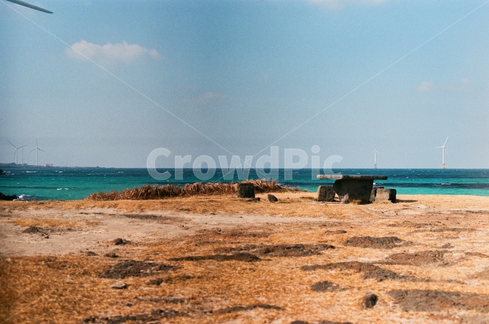 제주도,사려니숲길,jeju,나무,겨울,제주겨울,숲길,산책로,자연,풍경,nature,landscape