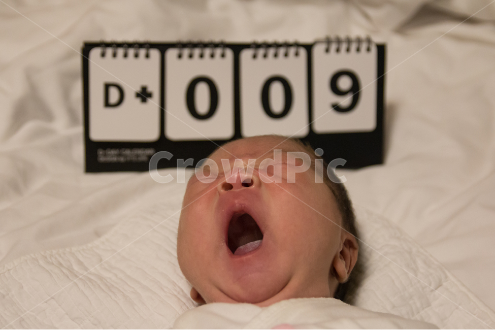 신생아,갓난아기,하품,얼굴,표정,졸린,피곤한,입,코,콧구멍,아가,아기,애기,사람,인물,인간,human,person,얼굴표정,facial expression,face,영유아,아기,애기,아이,infants,baby