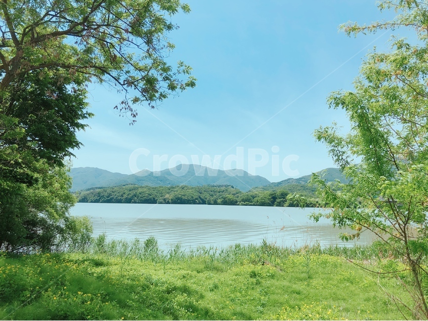 두물머리,자연,전경,여름,조용한,자연,풍경,nature,landscape,한국자연풍경,한국자연경관,korea nature landscape,water,물,outdoors,옥외