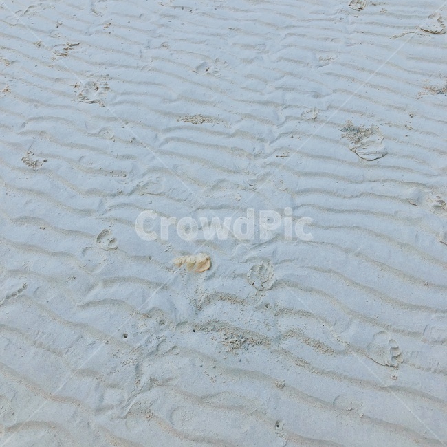 흙,모래,자연,옥외,soil,sand,nature,outdoors,색채,색상,색감,땅,color,colorsense,colorsensitivity,feelingofcolor