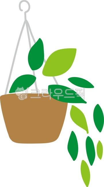 green,plant,leaf,Distance,herbs,Herb,flower,air plants