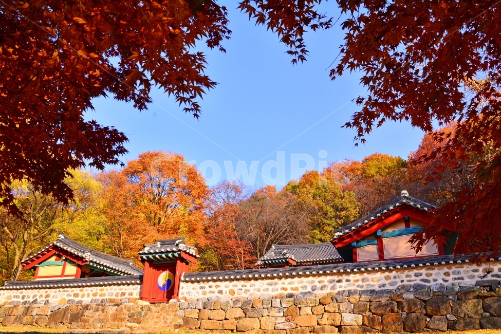 남한산성,단풍,가을,전통,사당,시즌,계절,AUTUMN,FALL,MAPLE,TRADITIONAL,CULTURE,기록,역사,보존,돌담,기와집,처마,담장,대문,출입문,하늘,맑은날,분위기,아름다운,풍경,OLD,가을,계절,fall,autumn,season,한국전통,한국문화,korean traditional,korean culture,랜드마크,landmark,tourist attraction,한국랜드마크,한국관광지,한국명소,korea landmark,korea tourist attraction,tree,나무,plant,식물,maple,leaf,잎