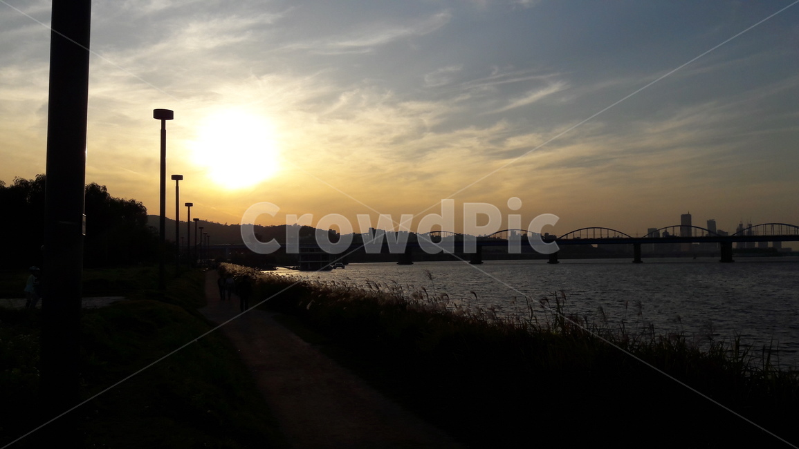 서래섬,메밀꽃,가을,한강,하늘,도시,풍경,city,landscape,한국도시풍경,한국도시경관,korea cityscape,flare,플레어,light,빛,nature,자연,outdoors,옥외,sunlight,햇빛