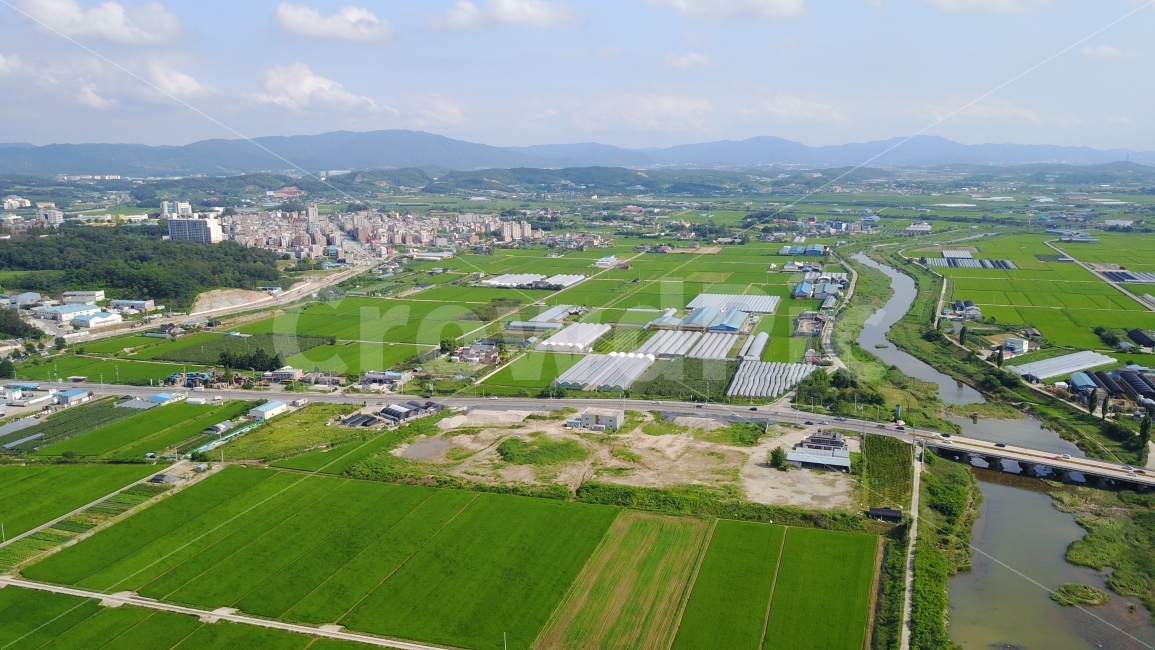 안성시,항공사진,푸른들판,논과밭,dji,시골,마을,풍경,landscape,country,rural,town