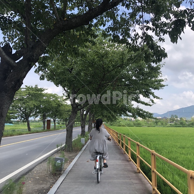 human,인간,사람,person,bike,bicycle,자전거,사람,인물,인간,human,person,여성,여자,woman,female,lady