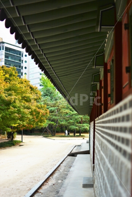 덕수궁,경복궁,고궁,전통가옥,처마,기와,단청,건축,건축물,한국전통건축물,한국,여행,여행지,한국전통,관광,deoksugung,deoksugungpalace,palace,traditional,architecture,ancientpalace,building,eaves,dancheong,paintwork,traditionalpaintwork,rooftile,structure,tour,trip,touristattraction,korea,건축물,건물외관,exterior,building,structure,architecture,construction,한국전통,한국문화,korean traditional,korean culture