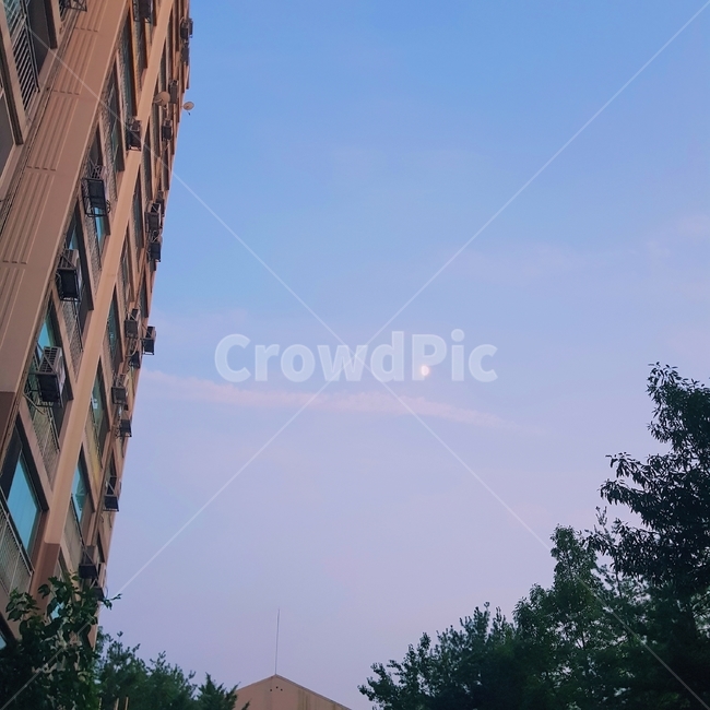 건물,구름,하늘,달,나무,nature,자연,도시,풍경,city,landscape