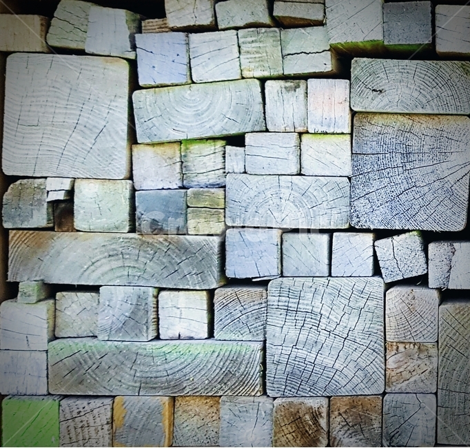 대칭,나무,패턴,symmetry,tree,pattern