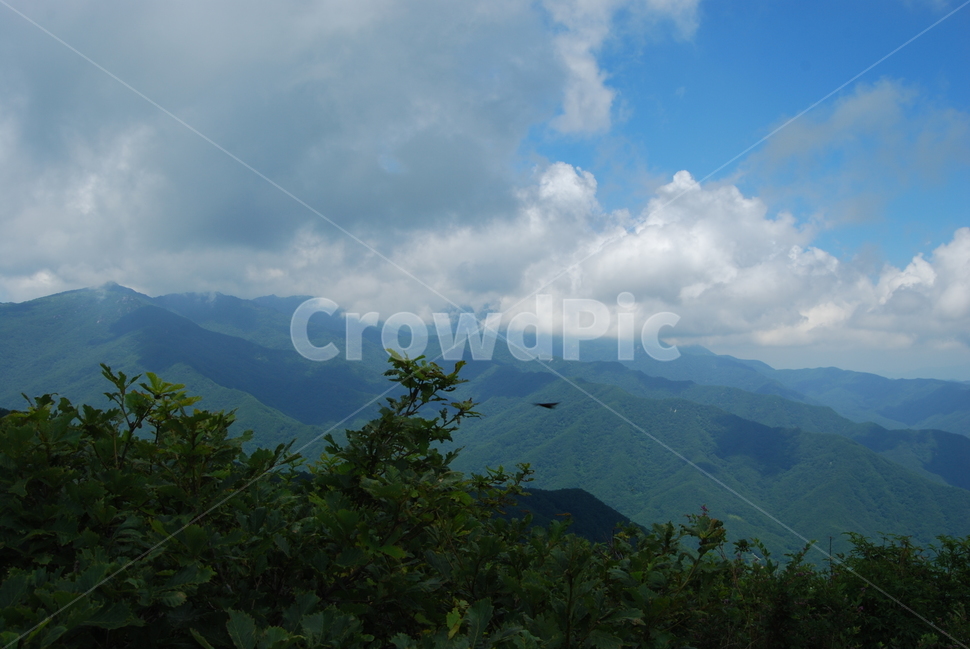 하늘,구름,산,나무,자연,자연,풍경,nature,landscape,outdoors,옥외,mountain range,산맥,mountain
