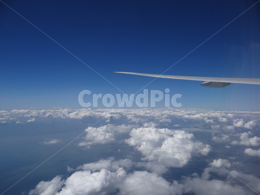 하늘,탑뷰,비행기,구름,풍경,sky,flight,cloud,topview,교통,교통수단,traffic,transportation