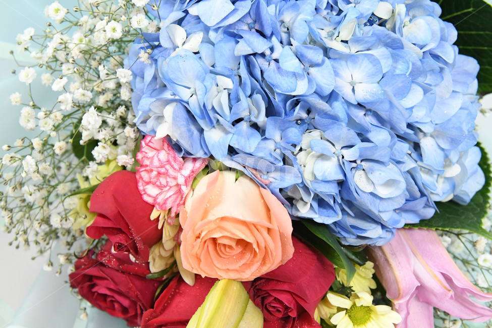 꽃다발,플라워,꽃,장미,안개꽃,꽃,flower,기념일,축하,anniversary,congratulation,celebrate,celebration