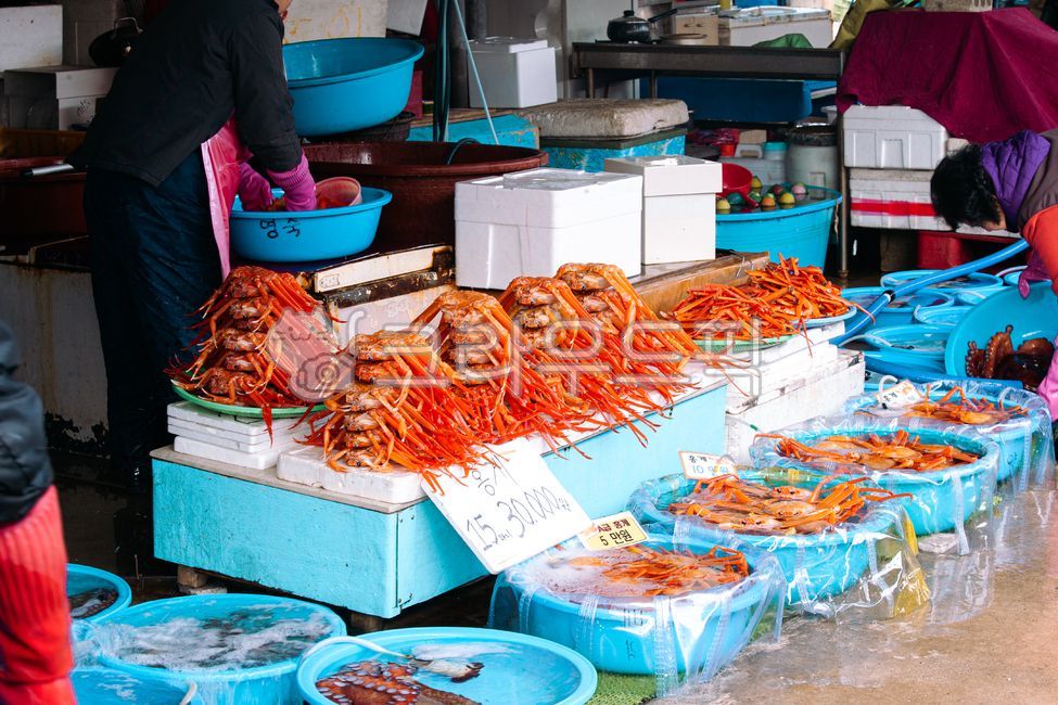 항구,해산물,수산시장,홍게,대게,음식재료,판매