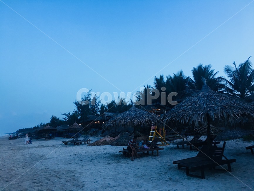 바다,해변,야자수,풍경,자연,구름,하늘,나무,선베드,야자나무,파라솔,모래,beach,sea
