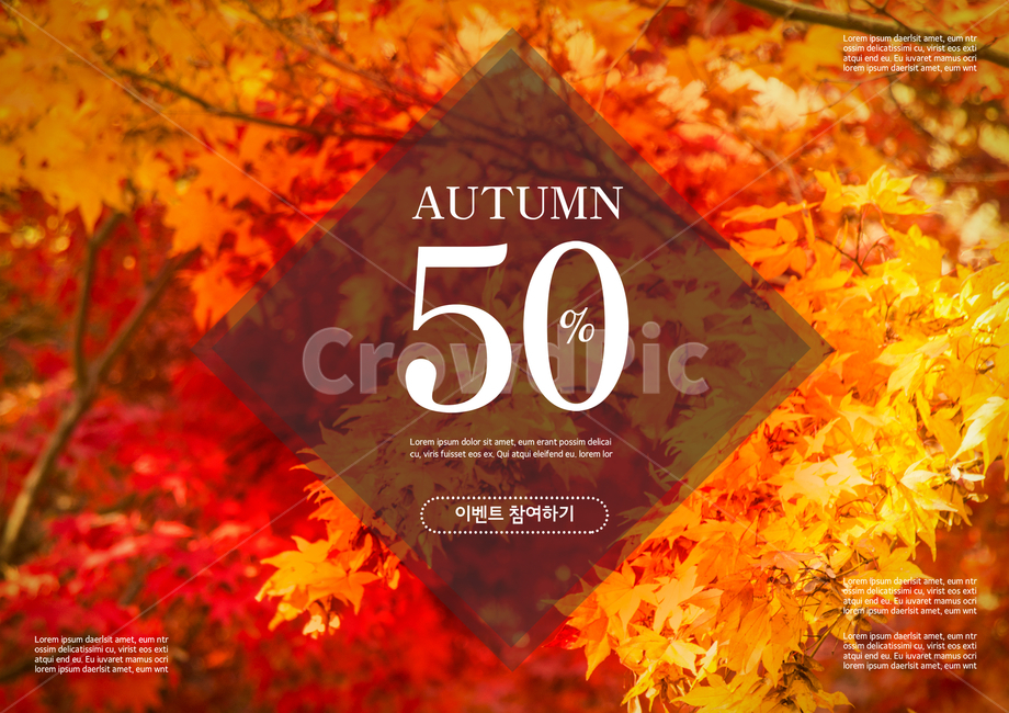 단풍나무,단풍,가을,표지,전단지,브로슈어,카달로그,가을,계절,fall,autumn,season,축제,행사,festival,carnival,event,쇼핑,shopping,그래픽,일러스트레이션,graphic,illustration,leaf,잎,plant,식물,tree,나무,maple,maple leaf,단풍잎