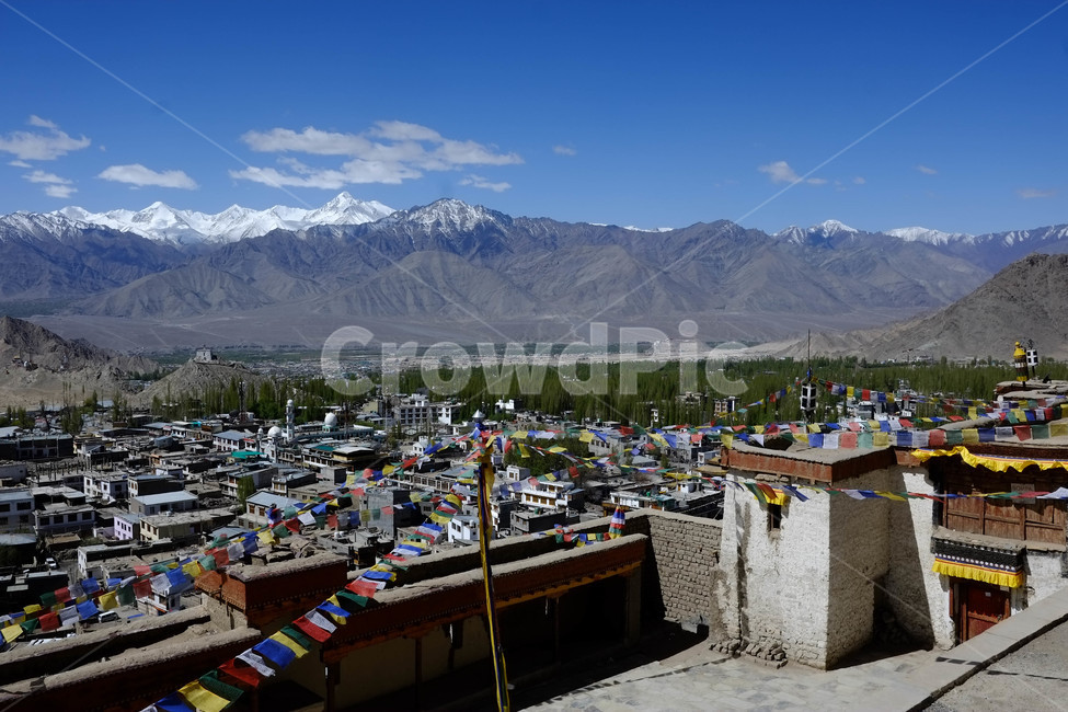 인도,라다크,히말라야,풍경,자연,레왕궁,lehpalace,왕궁,leh,ladakh,하늘,구름,산맥,산,고산,마을,시골,마을,풍경,landscape,country,rural,town,해외,외국,세계,foreign,oversea,world