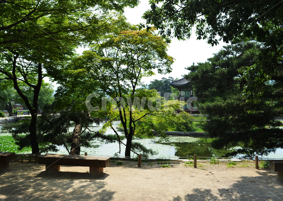 경복궁,architecture,palace,건축물,water,물,nature,자연,풍경