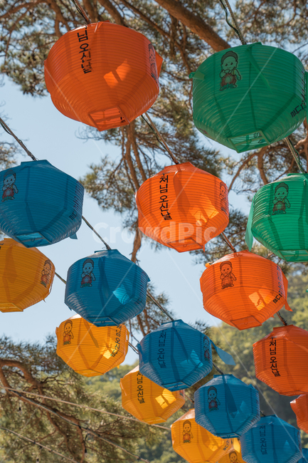 부처님오신날,부처님,등,풍등,절,나무,석가탄신일,맑음,종교,신앙,religion,belief,faith,축제,행사,festival,carnival,event