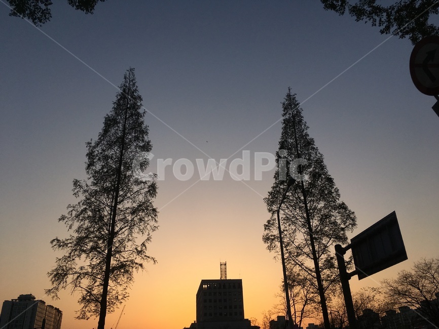 자연,풍경,산책,건축물,건물,쉼터,하늘,노을,sunset,park,nature,도시,walk,architecture,건축학,구조물,도로,가로등