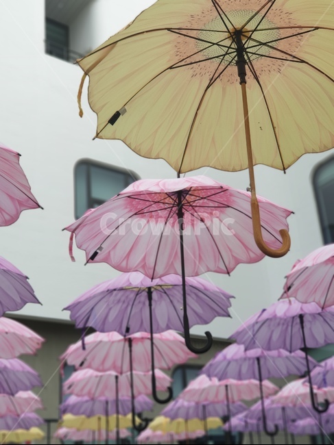 우산,파스텔우산,예쁜우산,양산,예쁜양산,umbrella,canopy