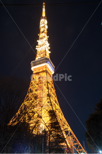 도쿄,도쿄타워,랜드마크,일본,야경,tokyo,japan,nightscape,야경,밤,풍경,nightscape,night,landscape,랜드마크,landmark,tourist attraction,해외,외국,세계,foreign,oversea,world,세계랜드마크,해외랜드마크,외국랜드마크,world landmark,world tourist attraction,건축물,건물외관,exterior,building,structure,architecture,construction,tower,탑,건물,spire,첨탑,steeple,뾰족한 탑