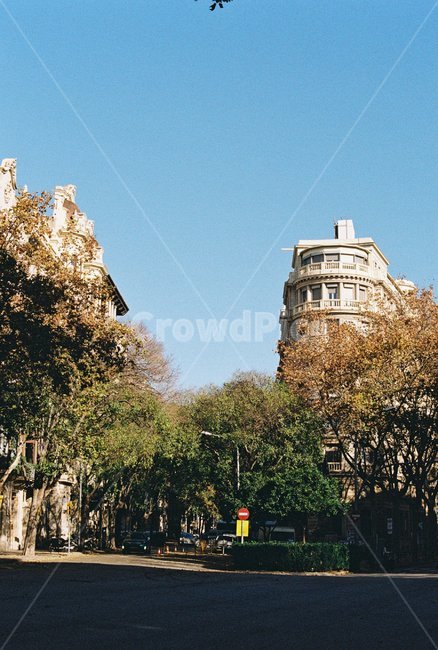 유럽,유럽골목,바르셀로나,가로수,유럽건물,europe,europestreet,barcelona,필름,필름사진,film