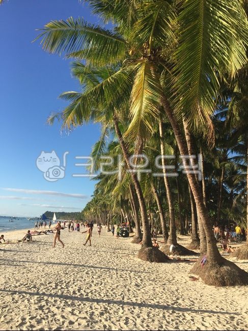 summer,여름,바다,모래사장,여름사진공모전