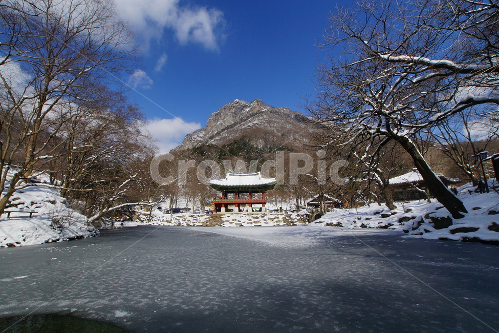 내장산,백양사,쌍계루,설경,국립공원,겨울,계절,winter,season,자연,풍경,nature,landscape,한국자연풍경,한국자연경관,korea nature landscape,outdoors,옥외