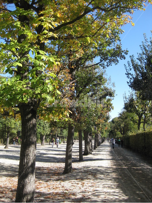 야외,garden,정원,outdoors,옥외,person,사람,가로수,나무,tree,green,treetrunk,나무줄기