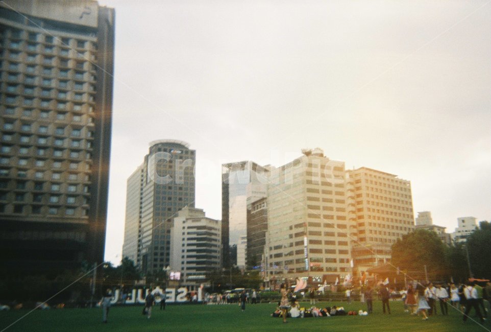 필름,야외,빈티지,아날로그,감성,잔디,식물,plant,person