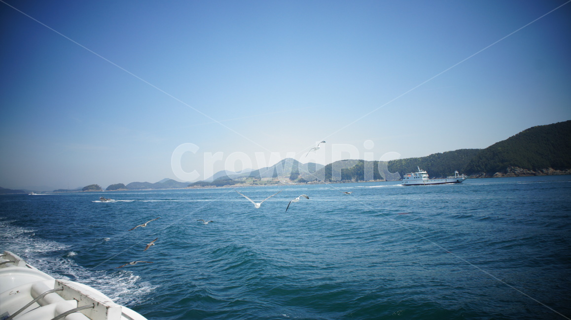 바다,갈매기,날다,시원,청량,sea,fly,seagull,cool